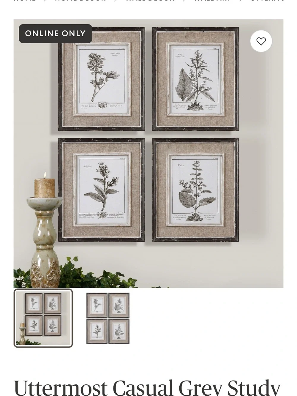 Uttermost Black, Cream & Brown Framed Botanical Print